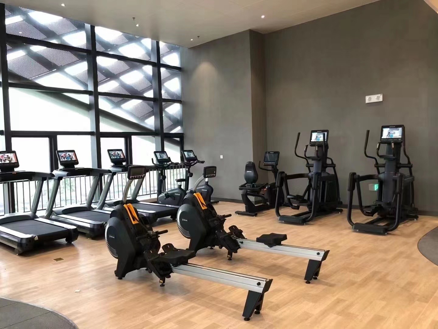 广东以色列理工学院